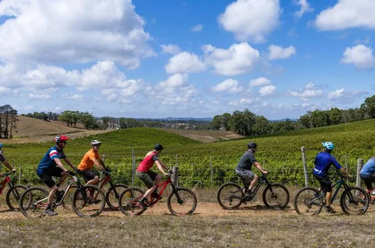 McLaren Vale Wine Tour by E-Bike (Private & Small Group)