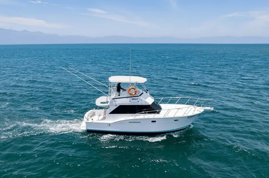 Private Hatteras 42' Boat: Custom Fishing & Snorkel Cruise