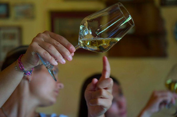 From Rome to the countryside: Private 3-Hour Wine Tasting Tour