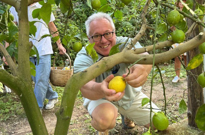 Ravello and Amalfi Coast Lemon Experience