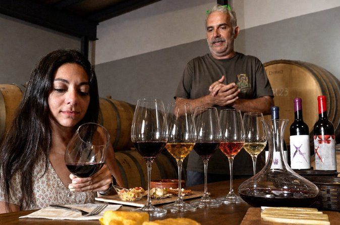 Malaga Organic Vineyard & Winery: 6 Wines, 2 Oils & Transfer