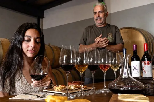 Malaga Organic Vineyard & Winery: 6 Wines, 2 Oils & Transfer