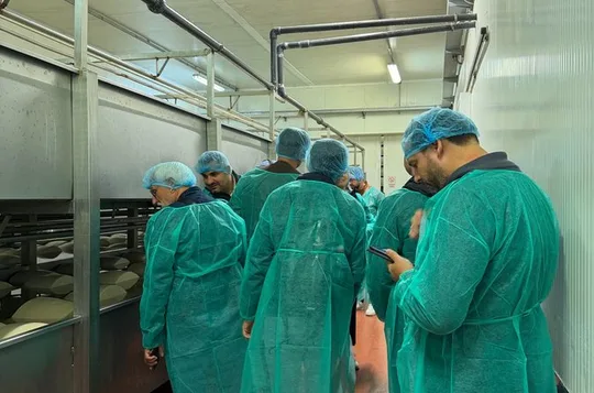 Ferrari, Parmesan and Balsamic Day Tour from Bologna
