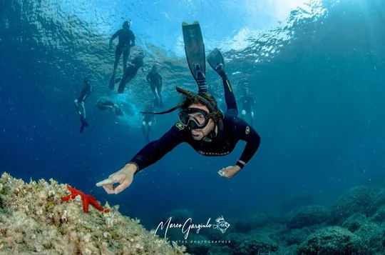 Sorrento Morning RIB Snorkel: 2 Spots with a Marine Biologist