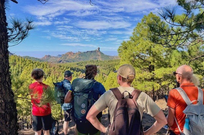 Full day Hiking Gran Canaria Peaks of Gran Canaria