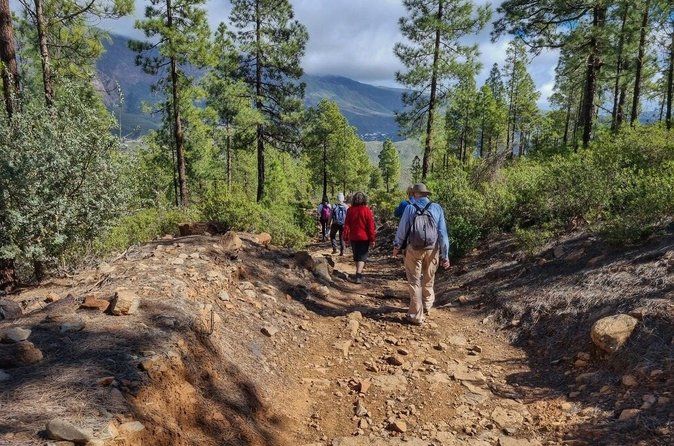 Hiking experience in the north of Gran Canaria