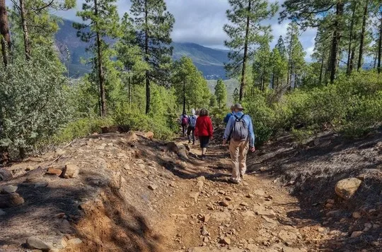 Hiking experience in the north of Gran Canaria