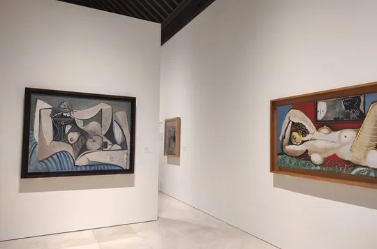 Guided tour without queues Picasso Museum Málaga + Picasso Birthplace