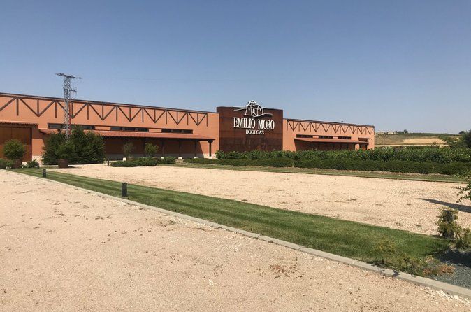 Private Tour Ribera del Duero and Emilio Moro with Official Guide