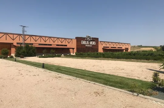 Private Tour Ribera del Duero and Emilio Moro with Official Guide