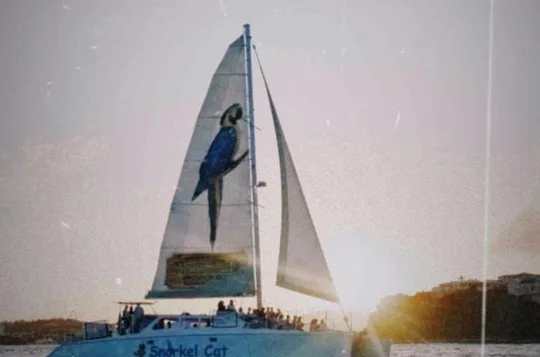Champagne Sunset Sail from Margaritaville