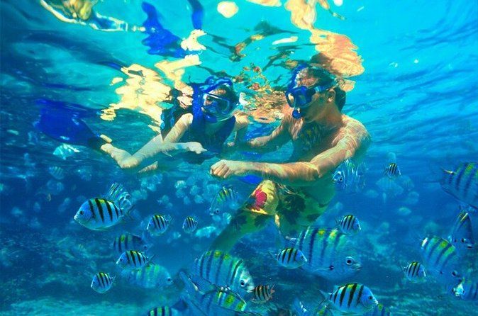 Snorkeling Adventure Cabo Pulmo