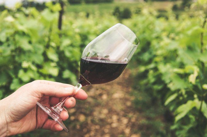 Private Montserrat and Cava Winery Tour with Hotel Pick Up from Barcelona