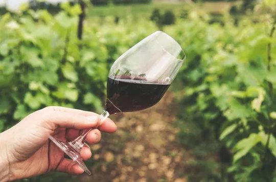 Private Montserrat and Cava Winery Tour with Hotel Pick Up from Barcelona