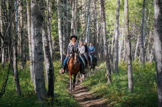 Buffalo Loop 1-Hour Horseback Trail Ride in Kananaskis