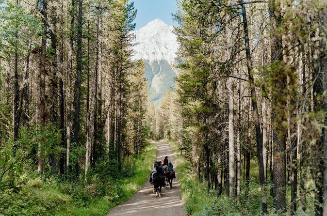 Buffalo Loop 1-Hour Horseback Trail Ride in Kananaskis