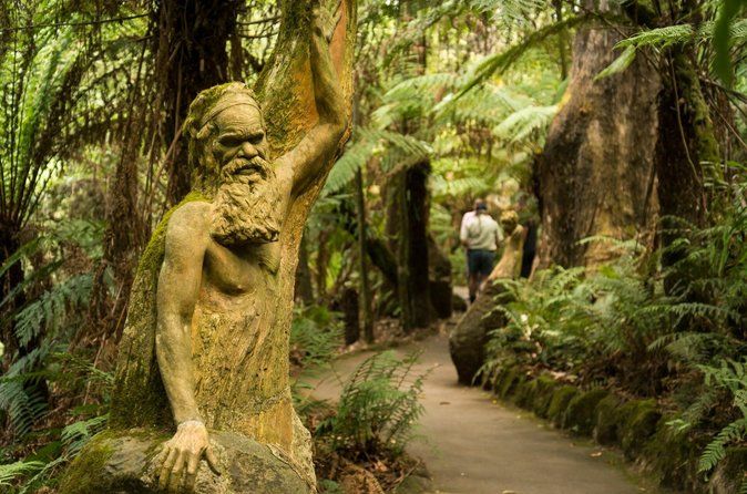Dandenong Ranges Private Day Tour