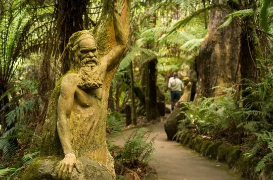 Dandenong Ranges Private Day Tour