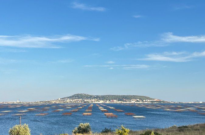tour to Sete, an oyster farm & Wine Tasting