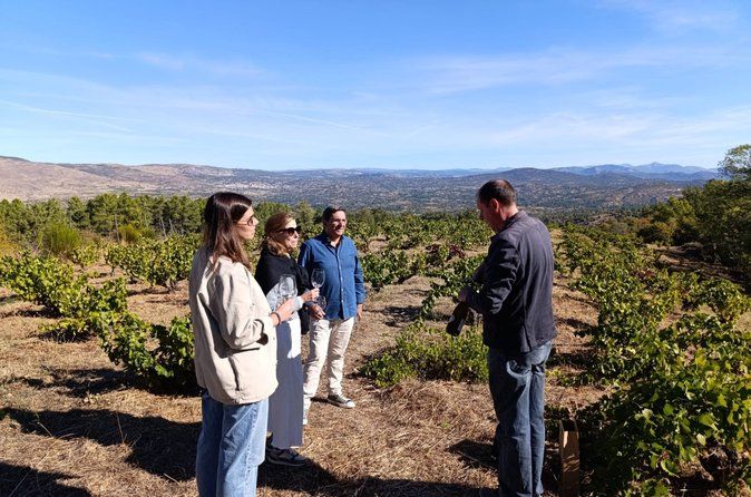 Madrid Wine Tour: Visit Two Wineries with Tastings