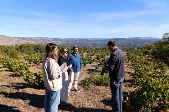 Madrid Wine Tour: Visit Two Wineries with Tastings