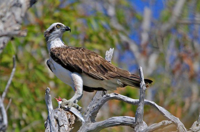Magnetic Island: West Coast Eco Adventure
