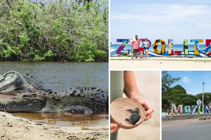 Tour Cocodrilos en Ventanilla, Mazunte, Zipolite+ Libera tortugas