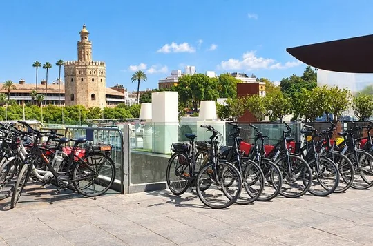 Seville: 2.5-Hour Electric Bike Tour with Local Guide