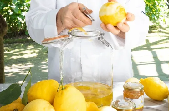 Guided tour of a historic lemon grove in Sorrento