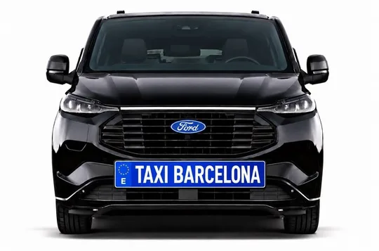 Privater Transfer bei der Abreise aus Barcelona von der Stadt zum Kreuzfahrthafen