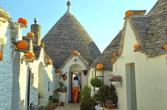 Tour : Alberobello, Ostuni, Locorotondo : Local Guide & Lunch