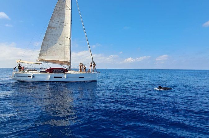 Sailing Adventure: Sailing, Dolphins and Relaxation with Drinks
