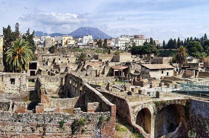 Herculaneum: skip the line entry ticket (art) + audioguide & map