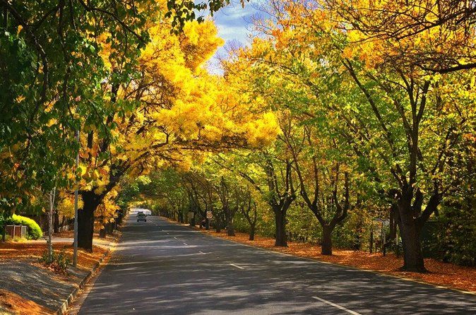 Discover Hahndorf & Taste McLaren Vale