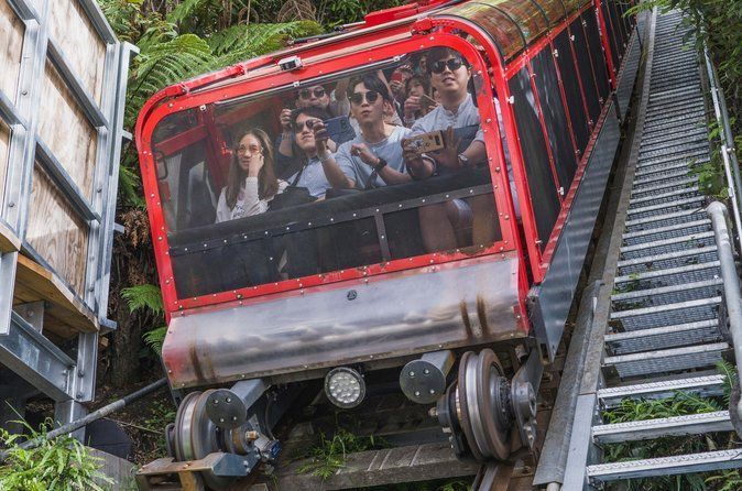 Blue Mountains-Sydney Zoo, Scenic World from Sydney All-Inclusive