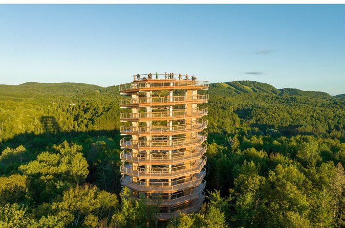 Treetop Observatory and Walk