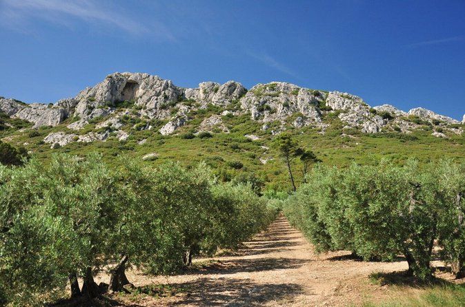 Villages of Saint-Rémy, Les Baux de Provence & the Pont du Gard
