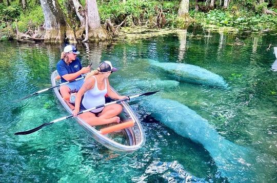 Silver Springs Clear Kayak Tour – Manatees & Monkeys Tour