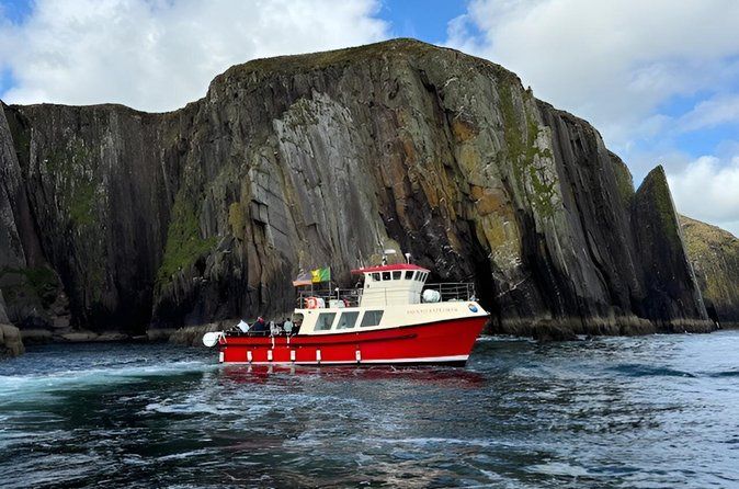 1 hour Dingle Bay Cliff Tour