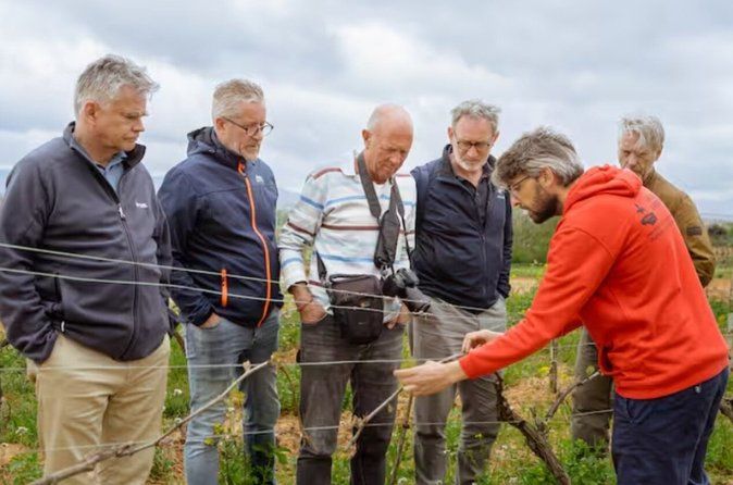 Small-Group Wine Tour with Local Expert (7 max)