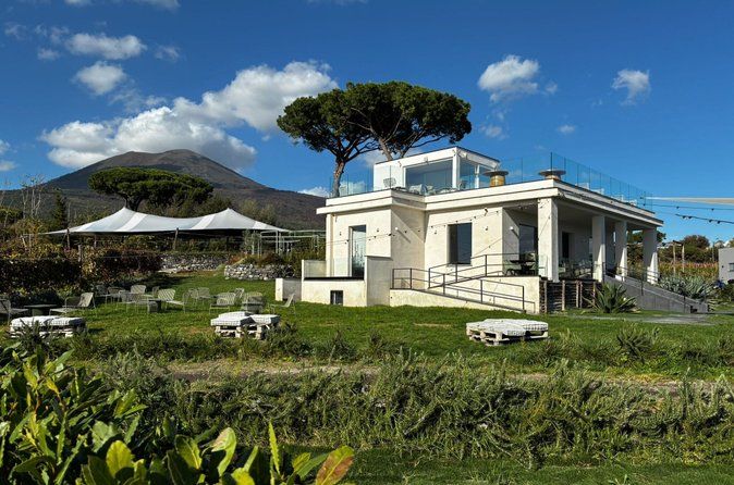 Pompeii Small Group Tour & Food/Wine tasting at Mt. Vesuvius