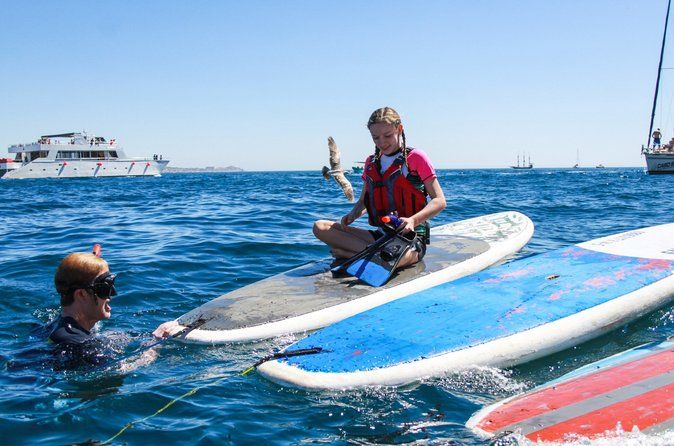 Private Cabo Paddle Board & Snorkel Adventure to the Arch