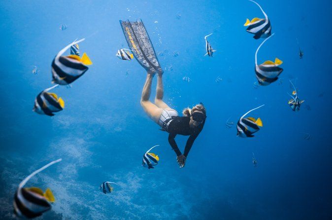 Private Los Cabos snorkeling tour to Chileno bay and Santa Maria cove