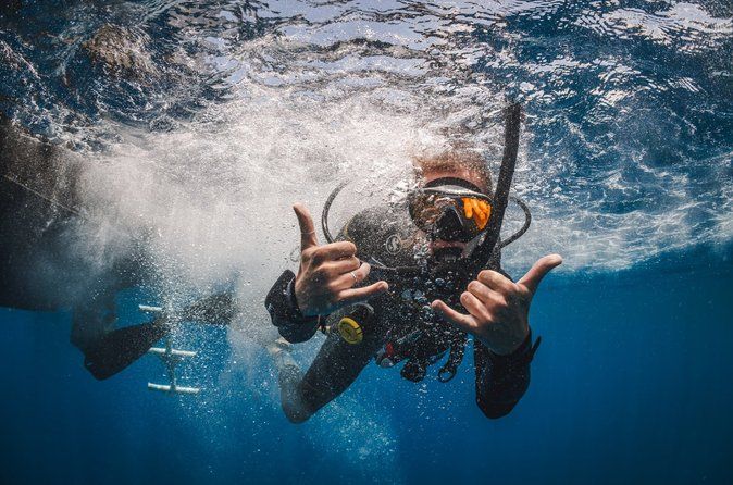 Private Dive Boat for Certified Divers - Cabo San Lucas