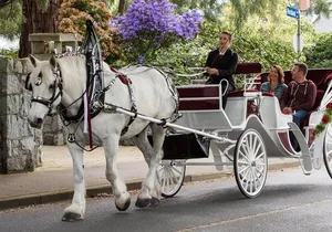 Heritage Horse-Drawn Carriage Experience in Victoria