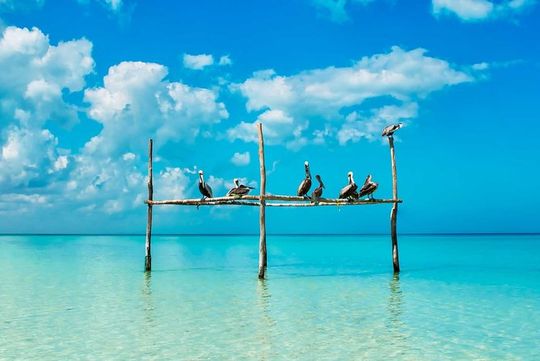 Tour Holbox - Magic Island! Round Transportation from Tulum