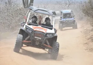 Razors in Cabo San Lucas