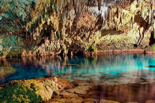 Swim in the beautiful Yalku & Cenote, includes transport & guide
