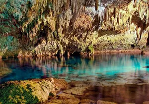 Swim in the beautiful Yalku & Cenote, includes transport & guide