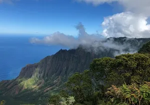 Kauai Shore Excursion - Waimea Canyon Adventure Tour - Nawiliwili